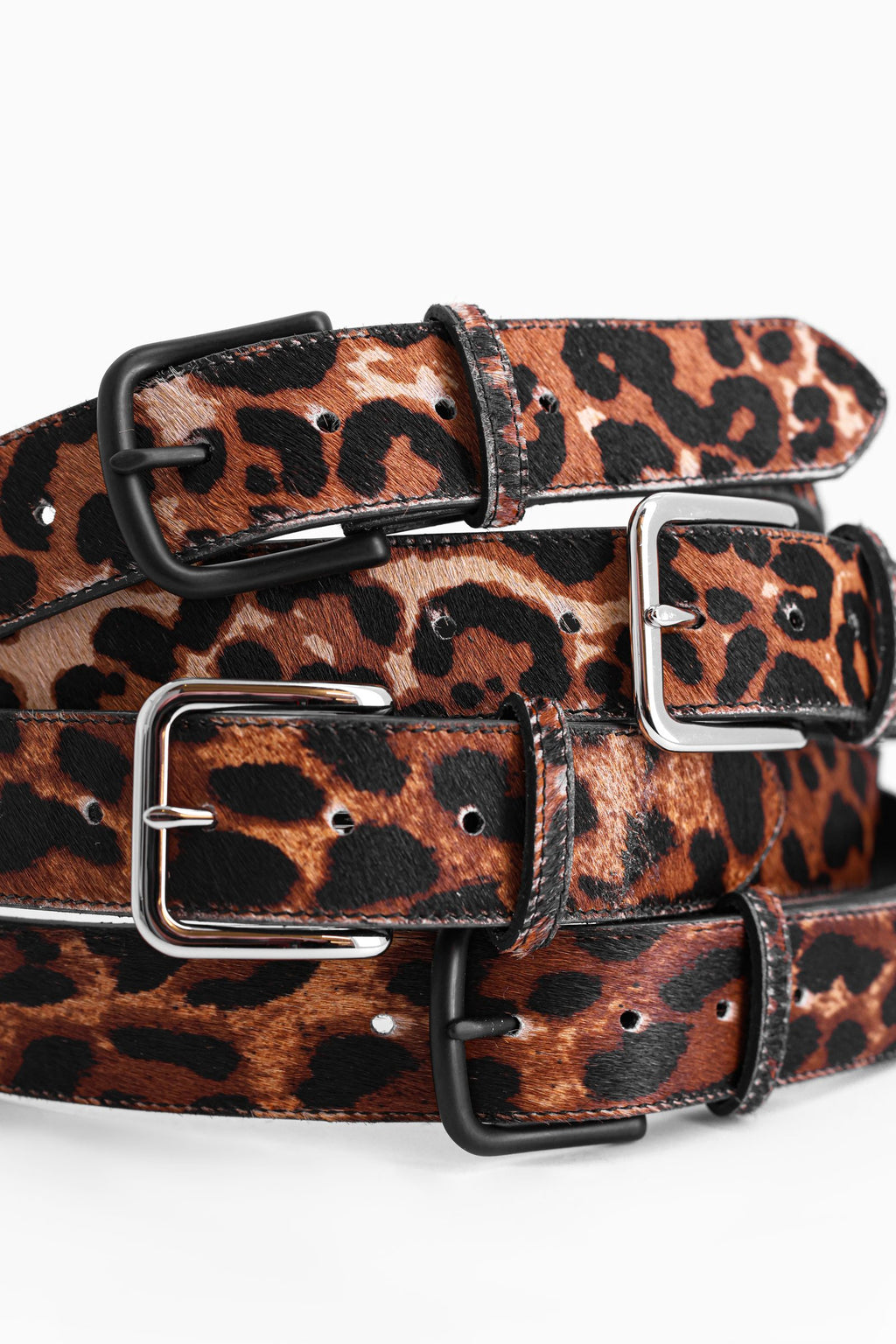 The Kennceptual Belt - Leopard