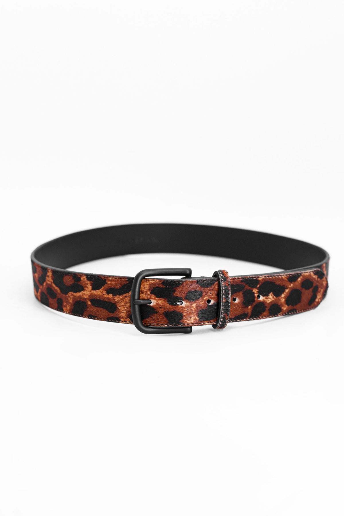 The Kennceptual Belt - Leopard